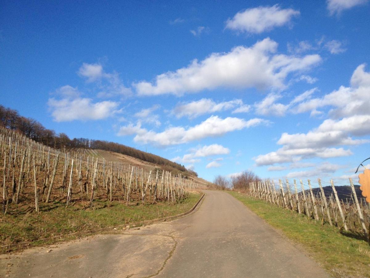 Hotel Weingut Dehren Еленц-Полтерсдорф Екстериор снимка