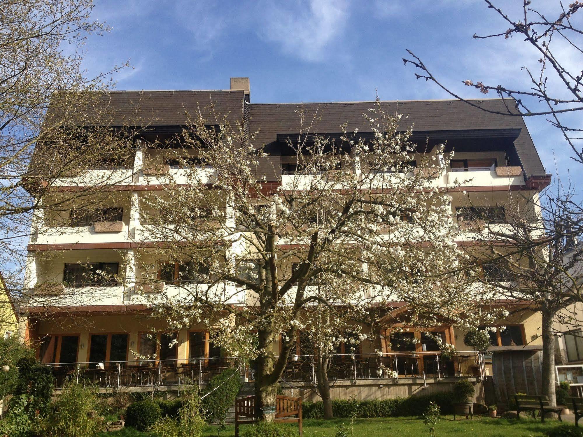 Hotel Weingut Dehren Еленц-Полтерсдорф Екстериор снимка